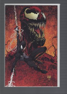 King In Black #2 Turner Variant