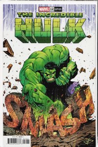 Incredible Hulk (2023) #12