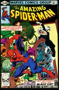 AMAZING SPIDER-MAN #204-1980-BLACK CAT-MARVEL FN/VF