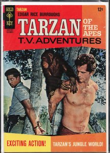 Edgar Rice Burroughs' Tarzan #162 (1966)