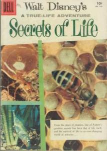 Walt Disney's A True-Life Adventure