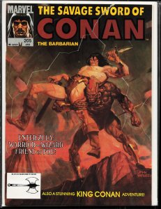 The Savage Sword of Conan #205 (1993) Conan