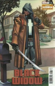 BLACK WIDOW #6 CARLOS PACHECO HEROES REBORN & ADAM HUGHES VARIANT SET MARVEL NM.