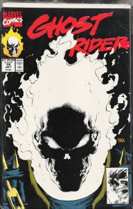 Ghost Rider #15 (1991) Ghost Rider