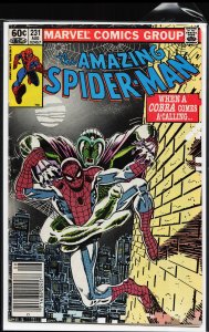 The Amazing Spider-Man #231 (1982) Spider-Man