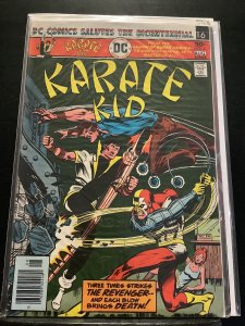 Karate Kid #3 (1976)