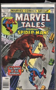 Marvel Tales #89 (1978) Spider-Man