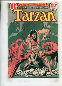 TARZAN #224 (6.5) KUBERT!! 1973