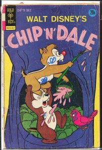 Walt Disney Chip 'n' Dale #22 (1973) Chip 'n' Dale
