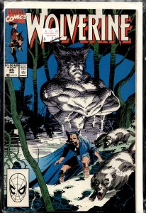 Wolverine #25 (1990) Wolverine