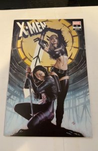 X-Men #1 Granov Cover (2024) first issue new series