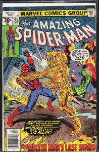 The Amazing Spider-Man #173 (1977) Spider-Man