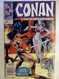 CONAN THE BARBARIAN # 227