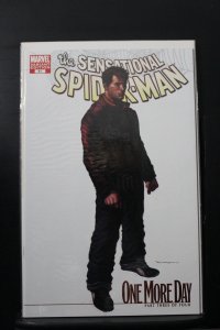 Sensational Spider-Man #41 Marko Djurdjevic Cover (2007)