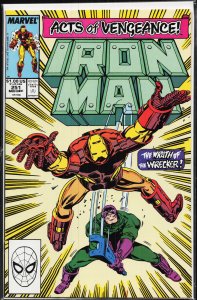 Iron Man #251 (1989) Iron Man