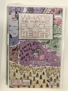 What's The Furthest Place From Here? #5 Cover C (2022) What's the Furthest Pl...