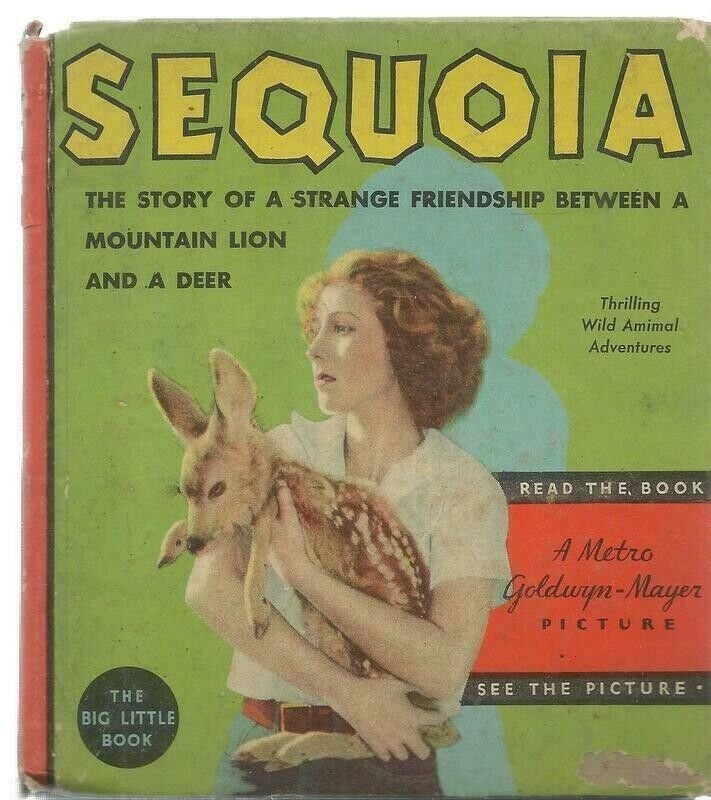 Sequoia ORIGINAL Vintage 1935 Whitman Big Little Book   