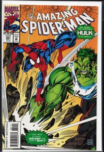 The Amazing Spider-Man #381 (1993) Spider-Man