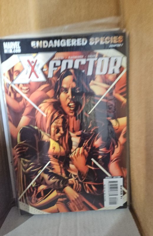 X-Factor #22 (2007)