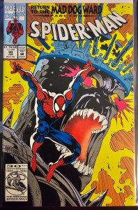 Spider-Man #30 (1993)