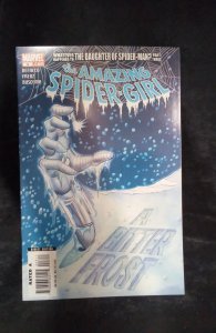 The Amazing Spider-Girl #3 (2007)