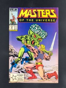 Masters of the Universe #10