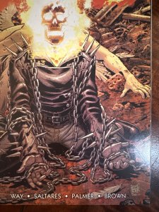 Ghost Rider #18 (2008)