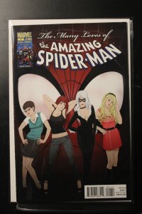 Many Loves Of The Amazing Spider-Man (2010)
