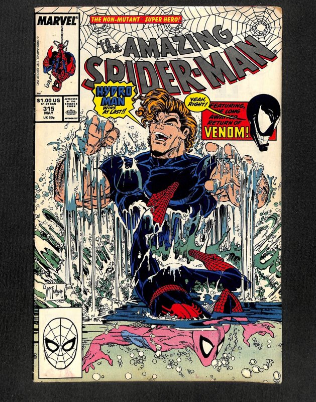 The Amazing Spider-Man #315 (1989)