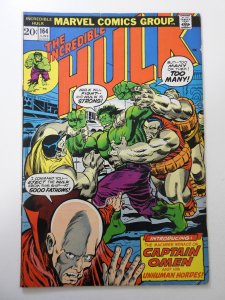 The Incredible Hulk #164 (1973) FN Condition!