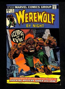 Werewolf By Night #25