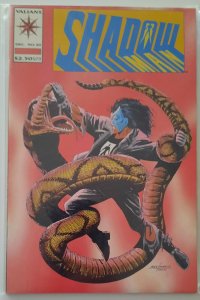 Shadowman #20 (1993)