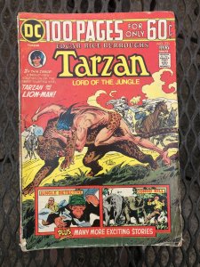 Tarzan #231 (1974)