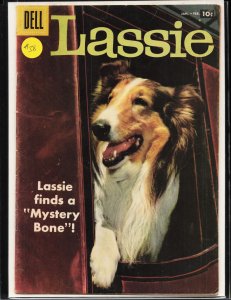 Lassie #38