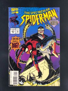The Spectacular Spider-Man #221 (1995)