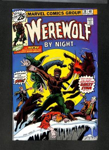 Werewolf By Night #38