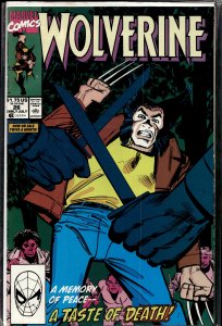 Wolverine #26 (1990) Wolverine