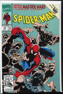 Spider-Man #29 (1992) Spider-Man