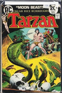 Edgar Rice Burroughs' Tarzan #225 (1973)