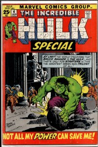 The Incredible Hulk Annual #4 (1972)