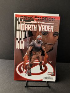 Star Wars: Darth Vader #22 Paul Renaud Variant (2022)