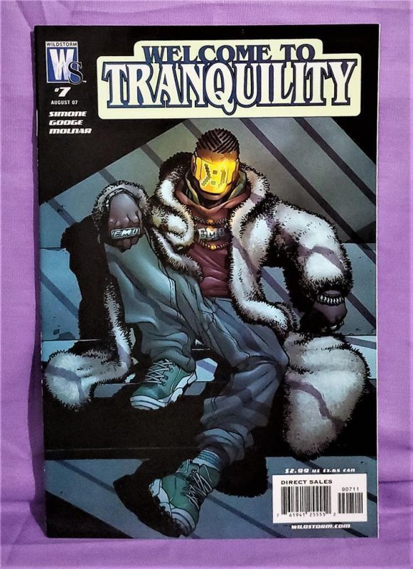 WELCOME TO TRANQUILITY #1 - 10 #1 & #2 1:10 Variant Covers (DC 2007)