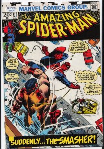 The Amazing Spider-Man #116 (1973) Spider-Man