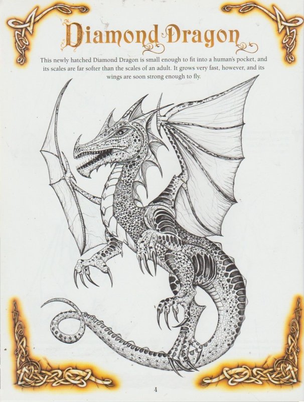 HOW TO DRAW DELTORA DRAGONS BOOK SCHOLASTIC NEW UNMARKED FANTASY STORY ART CONAN