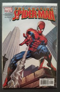 The Amazing Spider-Man #520 (2005)