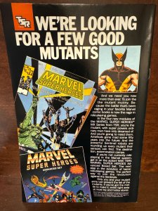 The Incredible Hulk #341 (1988) Hulk