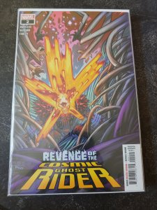 Revenge of the Cosmic Ghost Rider #2 (2020)