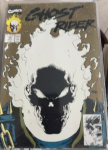 Ghost Rider #15 (1991) Ghost Rider 