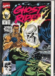 Ghost Rider #20 (1991) Ghost Rider