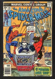 The Amazing Spider-Man #162 (1976)